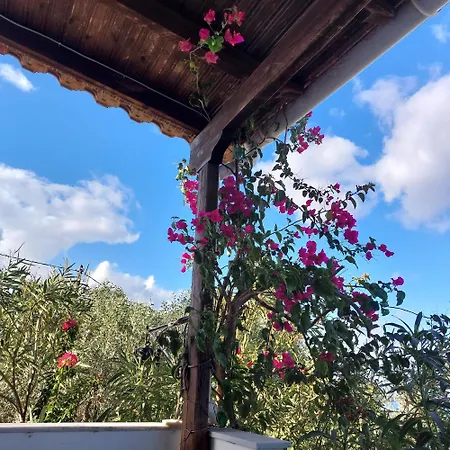 Spiti Ursula Holiday home